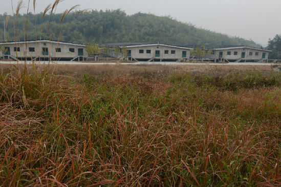 ,丁磊,网易,媒体人,阿里巴巴,企业家,网易丁磊回应质疑邀媒体看猪 汪峰再次与头条失之交臂