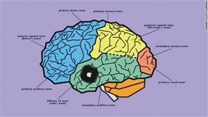,智能手机,智能手机给人类带来何种变化