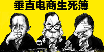 ,电子商务,垂直电商的困境到底在哪里？