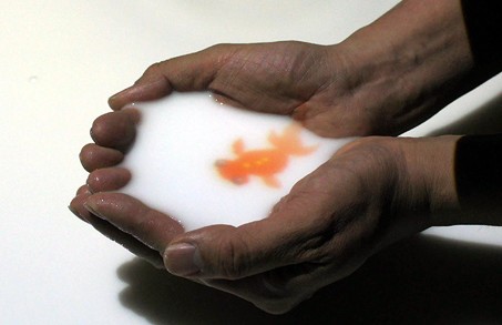 ,极客,盘点：8个最新的图像和游戏技术