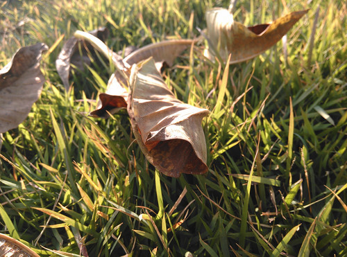 ,即时通讯,智能手机,中兴努比亚Z5S mini评测 性能出色价位低