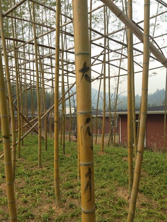 ,丁磊,网易,媒体人,阿里巴巴,企业家,网易丁磊回应质疑邀媒体看猪 汪峰再次与头条失之交臂