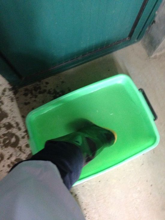 ,丁磊,网易,媒体人,阿里巴巴,企业家,网易丁磊回应质疑邀媒体看猪 汪峰再次与头条失之交臂