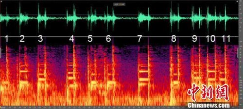 ,周鸿祎,奇虎,媒体人,突发奇想大学生破译周鸿祎手机号 李开复掺和放橄榄枝拉人