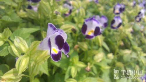 1.7GHz双核影音魔机 HTC One S玩乐体验 