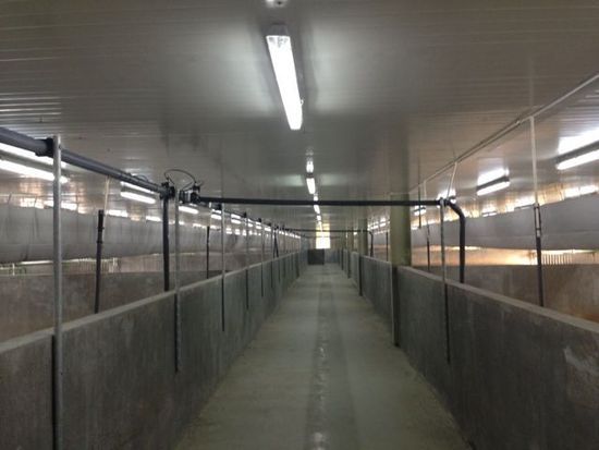 ,丁磊,网易,媒体人,阿里巴巴,企业家,网易丁磊回应质疑邀媒体看猪 汪峰再次与头条失之交臂