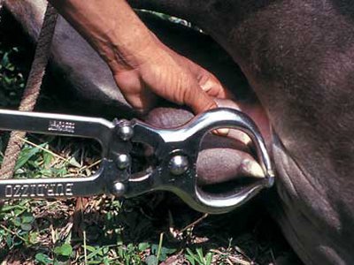 ,Amazon,并购重组,趋势网盘点:伟大的杰夫·贝佐斯的前世今生