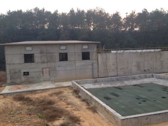 ,丁磊,网易,媒体人,阿里巴巴,企业家,网易丁磊回应质疑邀媒体看猪 汪峰再次与头条失之交臂