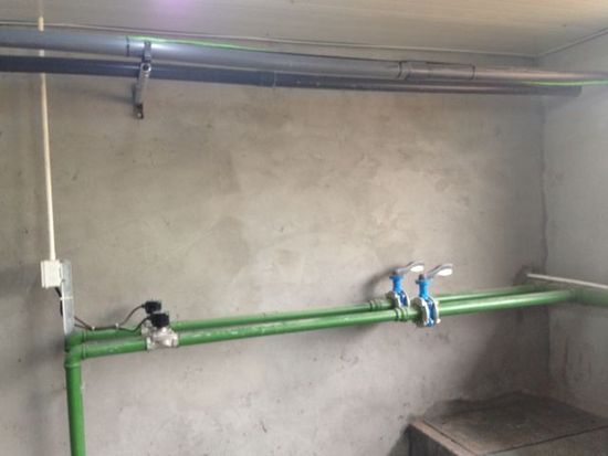 ,丁磊,网易,媒体人,阿里巴巴,企业家,网易丁磊回应质疑邀媒体看猪 汪峰再次与头条失之交臂