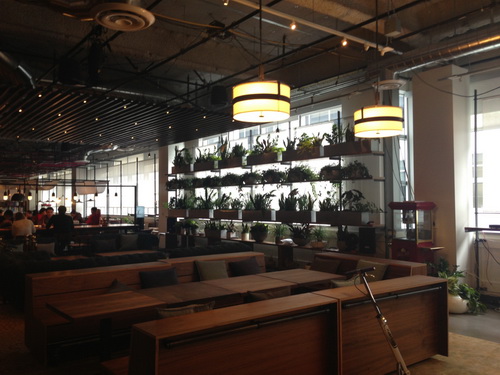 ,Google,Facebook,探访Dropbox: 看小公司的生存之道