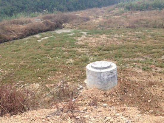 ,丁磊,网易,媒体人,阿里巴巴,企业家,网易丁磊回应质疑邀媒体看猪 汪峰再次与头条失之交臂