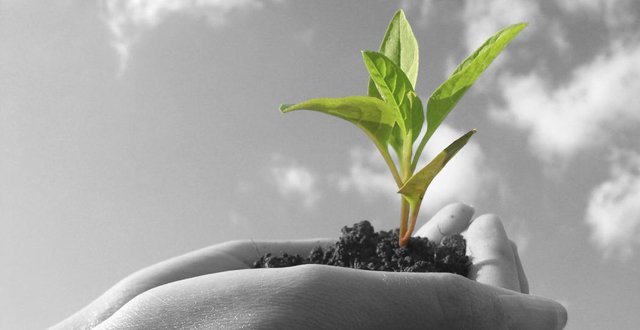 ,云计算,大数据,云计算催生新农业:用数据提高产量