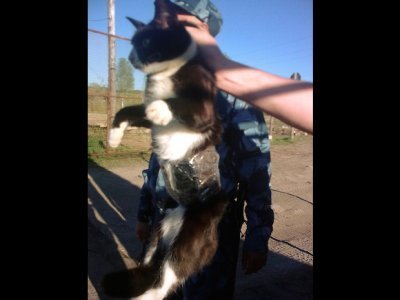 ,智能手机,移动应用,社交网络,平板电脑,全球排名前12位智能手机大国的12个有趣事实[组图]