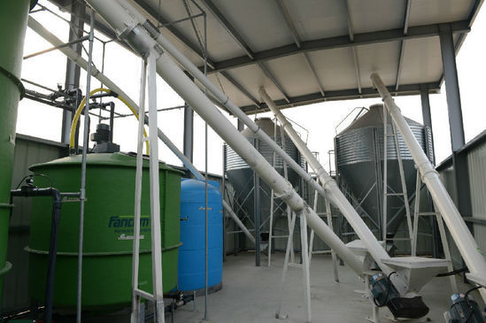 ,丁磊,网易,媒体人,阿里巴巴,企业家,网易丁磊回应质疑邀媒体看猪 汪峰再次与头条失之交臂