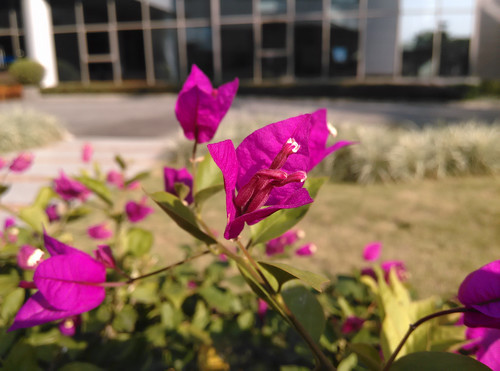 ,即时通讯,智能手机,中兴努比亚Z5S mini评测 性能出色价位低