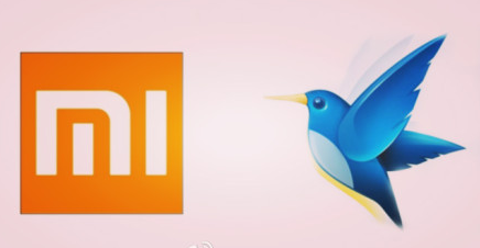 ,电子商务,小米,解读小米投资迅雷:迅雷还剩下什么?