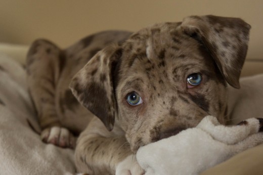 ,增强现实,谈判的科学:企业家如何成为出色的谈判者