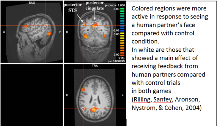 ,自媒体,社交媒体互动的背后的情感参与