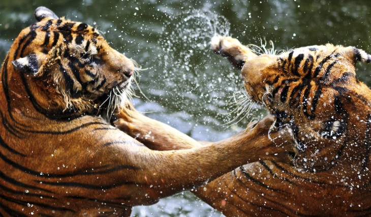 ,增强现实,谈判的科学:企业家如何成为出色的谈判者