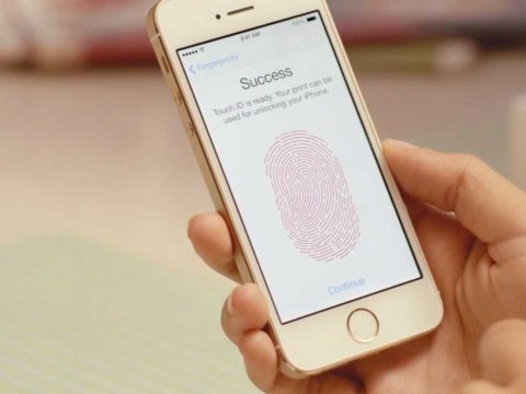 ,Apple,粉丝,土豪金5S严重脱销，是炒作还是生产不当？