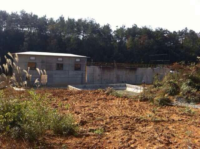 95048480.jpg ,网易,网易邮件晒图回应,养猪业务仍在继续