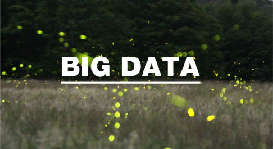 ,大数据,电子商务,粉丝,移动电商,大数据只手遮天？