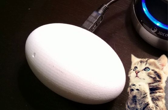 ,互联网,智能猫玩伴EGG：和喵星人做朋友