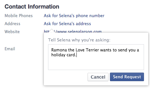 facebook-information-selena-larson-request.png