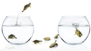 ,Microsoft,平板电脑,Apple,智能手机,智能电视,操作系统,设备五连败：微软的“爱 情 转移”？