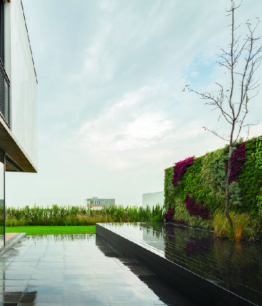 光6.jpg ,美国的光之城