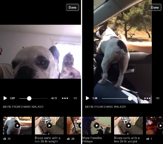 facebook-video-player.png ,并购重组,Facebook,Facebook新推移动视频播放器 有意往电视频道发展