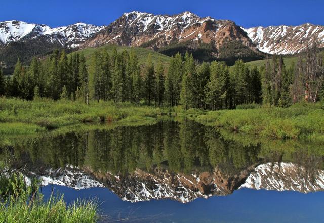 ,马云,创业者,管理层,并购重组,阿里巴巴,Google,Apple,Amazo,今晚召开太阳谷峰会 一大波科技大佬正在集结