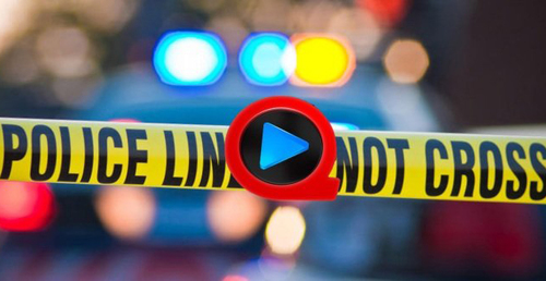 ,站长,腾讯,百度,一个快播倒下 千百个“快播”面临生存危机