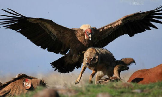 8601a18b87d6277fc07eb1f32a381f30e824fc89.jpg ,阿里巴巴,Yahoo,Facebook,人死后,数字遗产花落谁家?