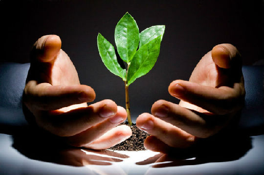 ,投资人,小米,Uber,达晨创投,Star VC,Sequoia,风险投资,创业融资,天使孵化,5家估值百亿的新创公司，谁是背后的投资人