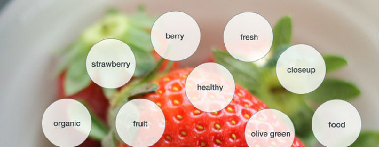 ,图片自动标记功能让我们从键盘和搜索中解脱出来