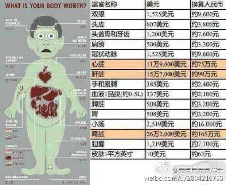 ,Apple,苹果发布会视频直播：官网第一时间中文字幕高清完整版