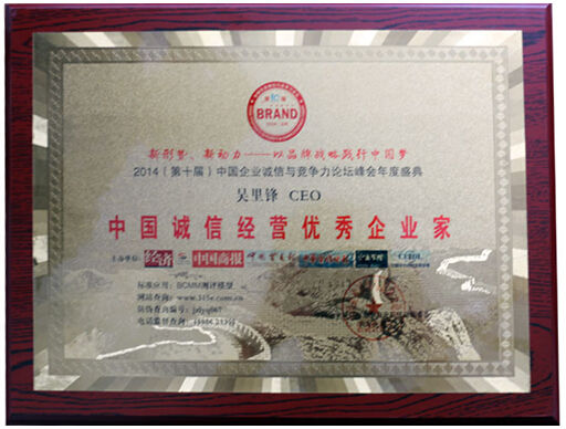 ,企业家,网络服务,互联网金融,大数据,新媒体,风险投资,PP金融CEO在第十届中国企业竞争力年会畅谈互联网金融