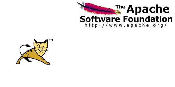 07083613_2iWR.jpg ,开发者,Google,Microsoft,搜索引擎,操作系统,浏览器,大数据,开源软件 支撑起互联网的现在未来