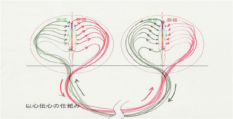 图片来源:腾讯 ,媒体人,腾讯,Microsoft,Yahoo,传媒文创,新媒体,如何培养新人?日本 新闻 网站“雅虎 新闻 ”告诉你