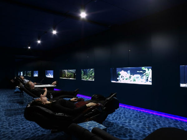 ,Google,媒体人,[狂图！] 谷歌全球办公环境秀：惊艳的苏黎世站