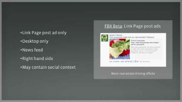 21e.jpg ,Facebook,脸谱网广告融资演讲稿