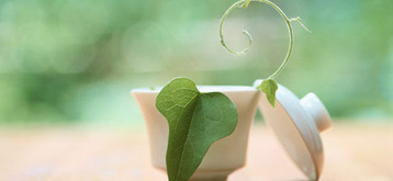 1.jpg ,平板电脑,媒体人,人人,如何才能从手机中抢回亲情?