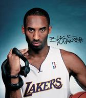 990047_168_208.jpg ,智能手机,联想智能手机邀科比出任代言人