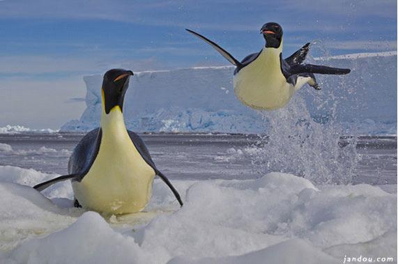 ,互联网,创意设计大杂烩——煎豆网