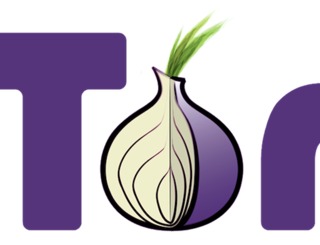 torlogojune2013_320x245.jpg ,Facebook,社交网络,洋葱路由器:脸谱没有故意抛弃你