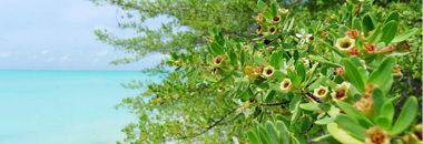 10.jpg ,粉丝,网民,增强现实,社交网络,趋势网推荐:玩微博的日子里错过了多少云卷云舒