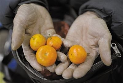 ,网民,一碗烩面50元，900网友吐槽火车上的天价饭