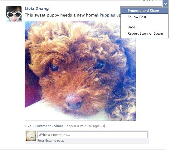 ,Facebook,Facebook推新功能 用户可付费推广好友消息