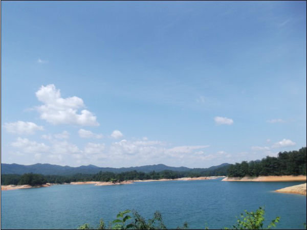 ,互联网,其实一线城市也有蓝天碧水---旅游露营点推荐，广州从化流溪河